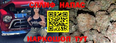 прущие грибы Ливны