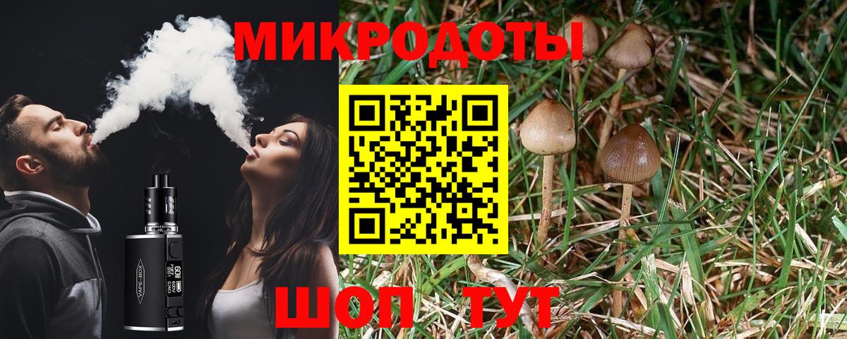 Псилоцибиновые грибы Cubensis Уссурийск
