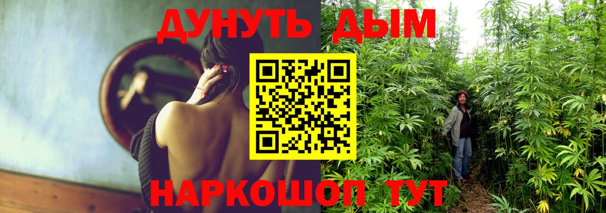 Конопля планчик Уссурийск